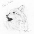 /album/fotogaleria/ja-vlk-wolf-jpg/